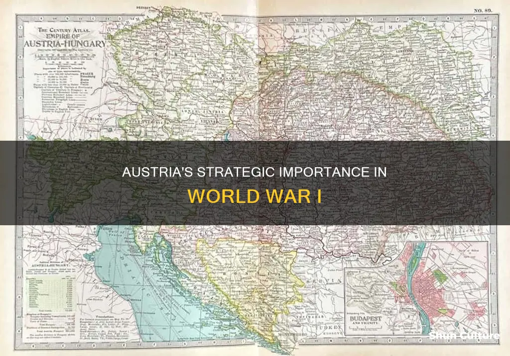 why was austria important in ww