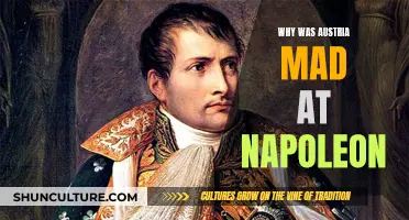 Austria's Fury Over Napoleon's Italian Land Grab