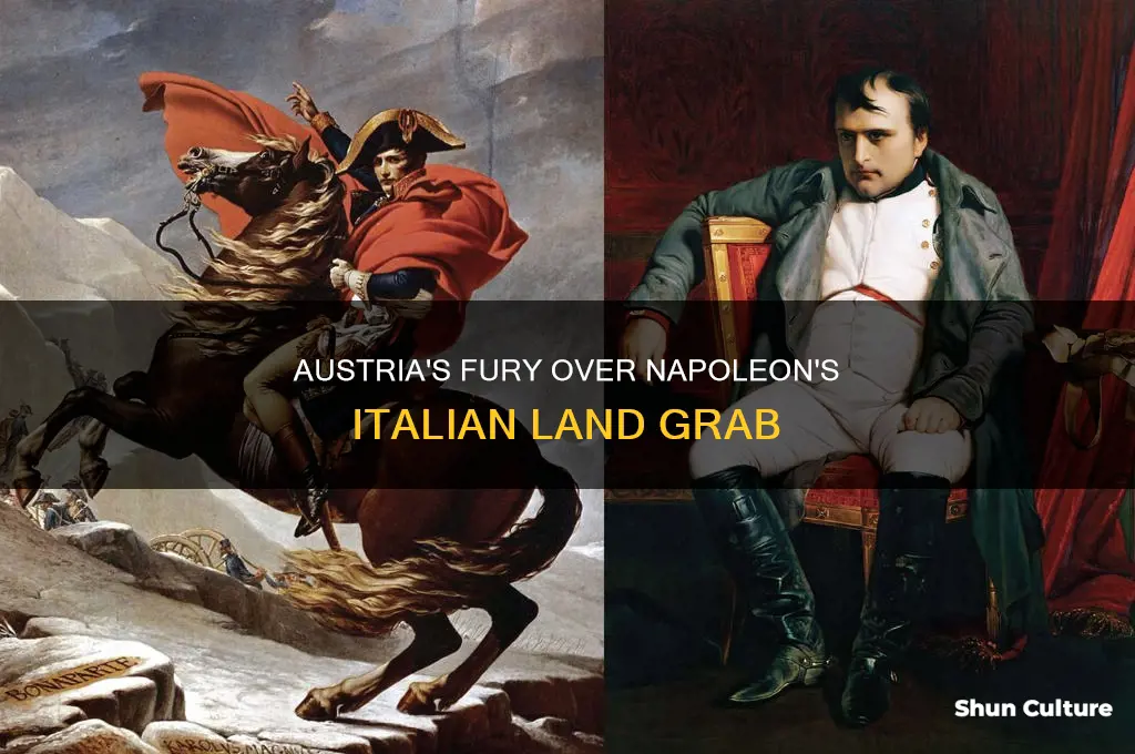 why was austria mad at napoleon