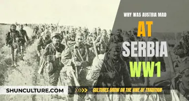 Serbia's Role in Austria's Ire: Understanding WWI Origins