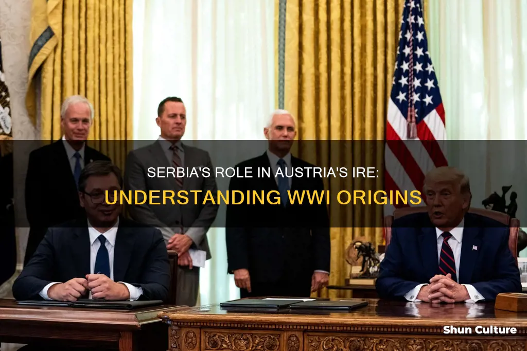 why was austria mad at serbia ww1