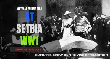 Serbia's Role in Austria's Ire During World War I