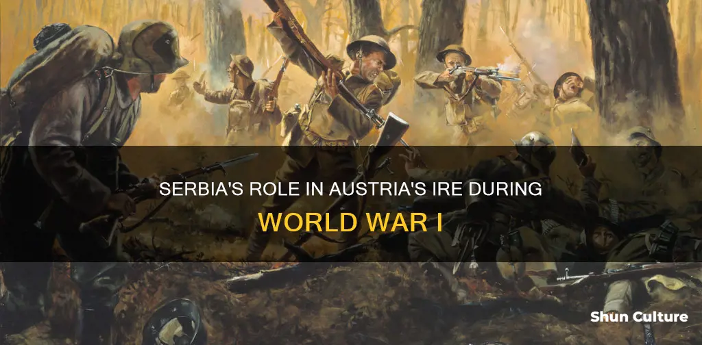 why was austria mad at setbia ww1