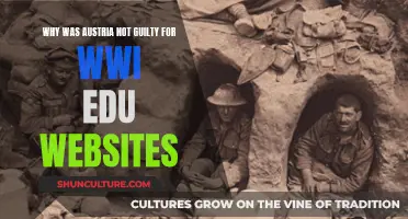 Austria's WWI Involvement: Understanding Their Actions and Exoneration