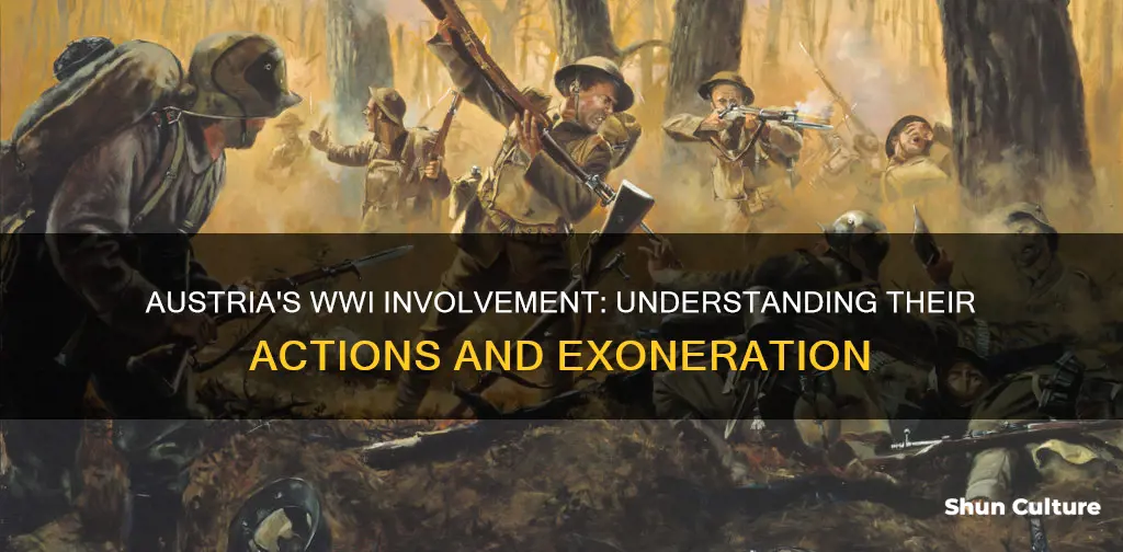 why was austria not guilty for wwi edu websites