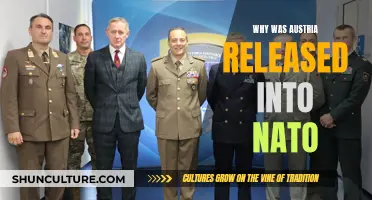 Austria's NATO Release: Understanding the Strategic Decision