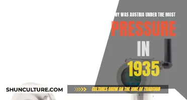 Austria's Precarious Position: 1935 Pressures Explained