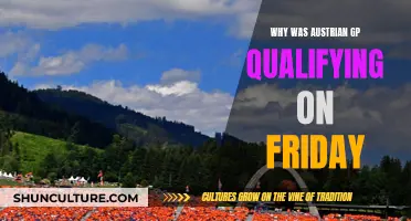 Austrian GP: Friday's Qualifying Mystery Explained