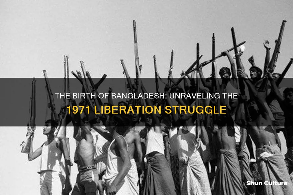 why was bangladesh created in 1971