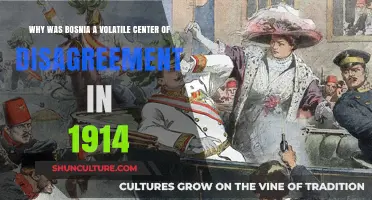 Bosnia's 1914 Tensions: Unraveling the Roots of Volatile Disagreement