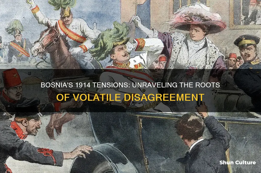 why was bosnia a volatile center of disagreement in 1914