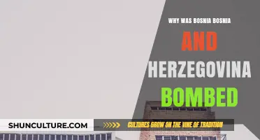 The Devastating NATO Bombing of Bosnia and Herzegovina: Why?