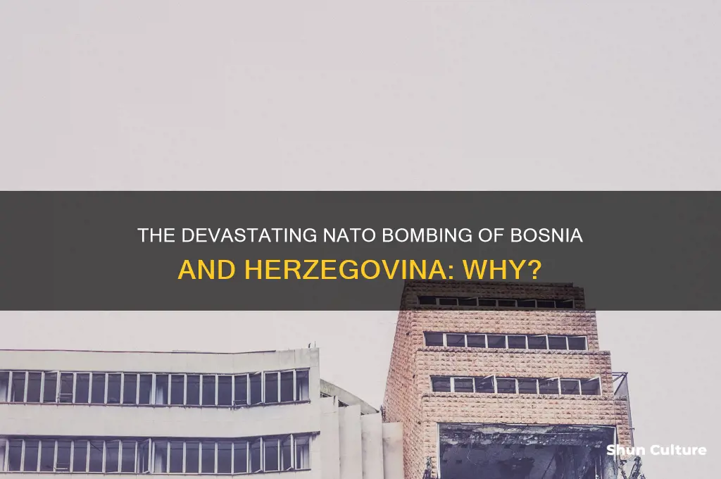 why was bosnia bosnia and herzegovina bombed