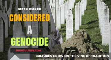 Bosnia's Tragedy: Why the Srebrenica Massacre Wasn't Labeled Genocide
