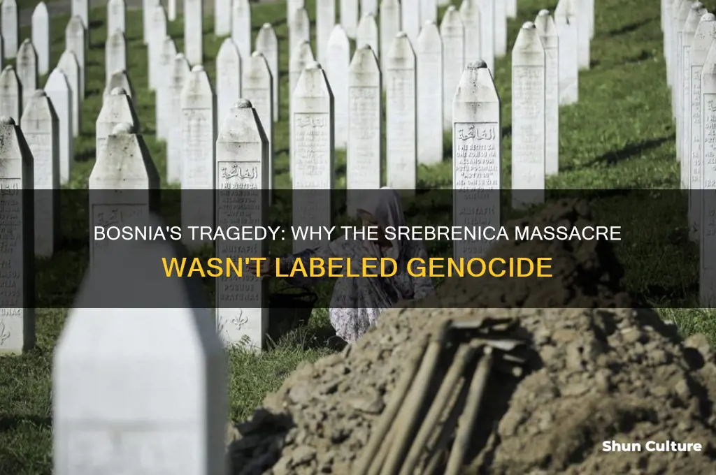 why was bosnia not considered a genocide