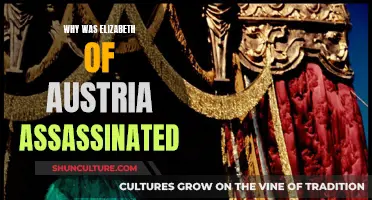 The Death of Elizabeth of Austria: Political Assassination Explained