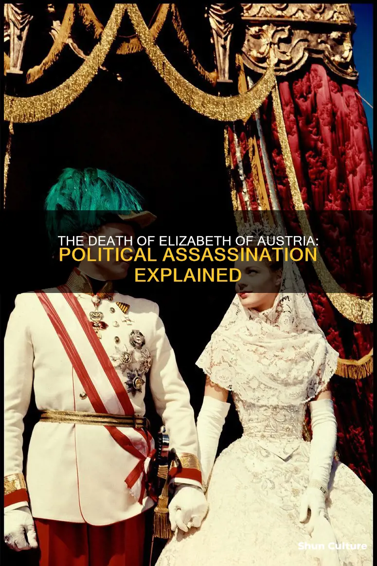 why was elizabeth of austria assassinated