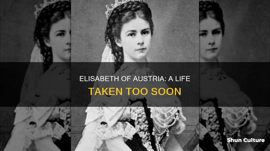 why was empress elisabeth of austria assassinated