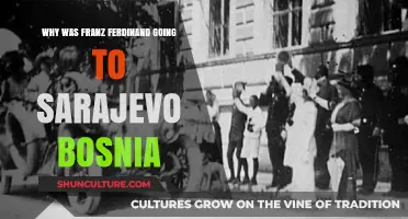 Why Franz Ferdinand's Fateful Sarajevo Visit Sparked World War I