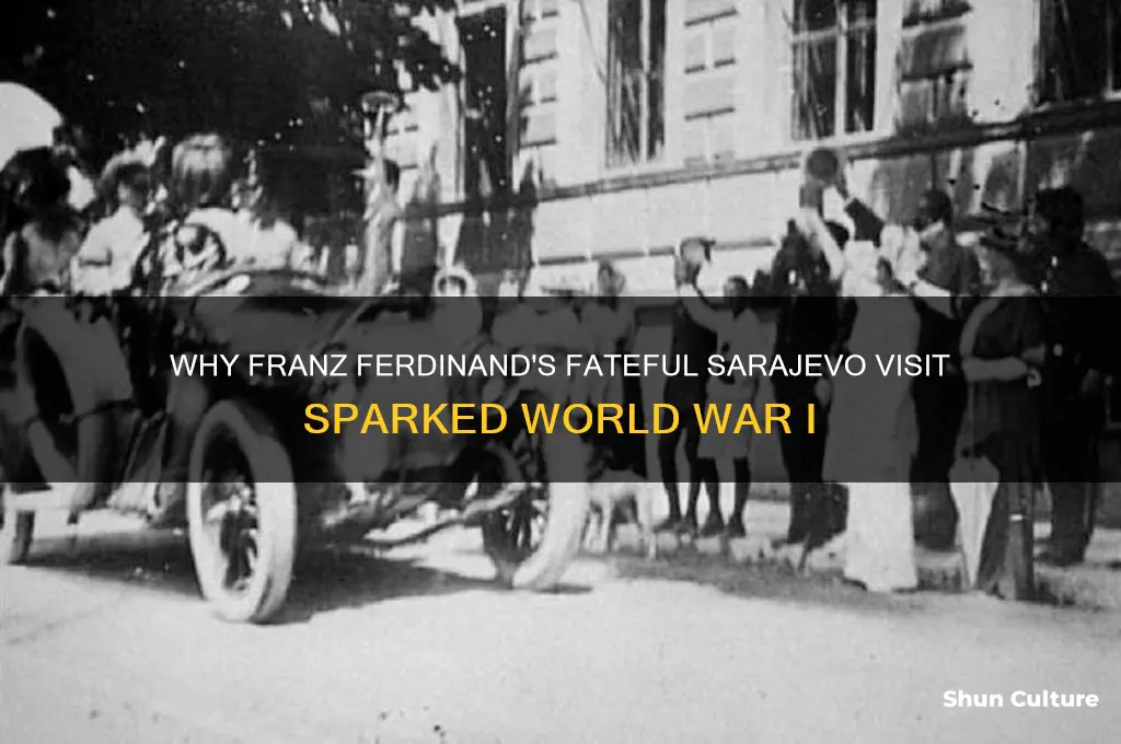 why was franz ferdinand going to sarajevo bosnia