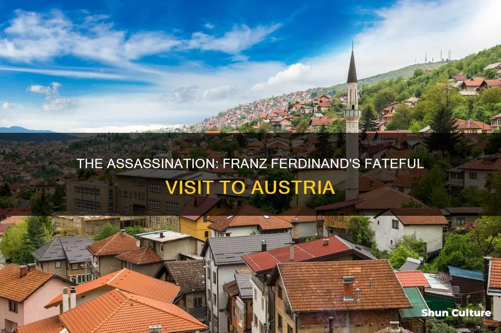why was franz ferdinand in austria