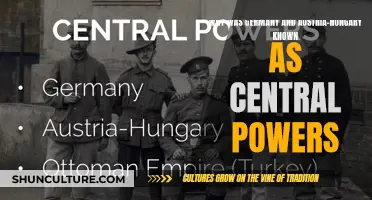 The Central Powers: Germany and Austria-Hungary's Strategic Alliances