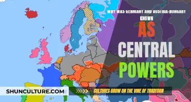 Central Powers: Germany and Austria-Hungary's Alliance Legacy