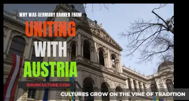 Germany's Unity Dreams Dashed by Austria's Alliance