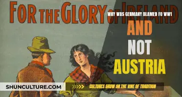 Who Really Started the Great War?