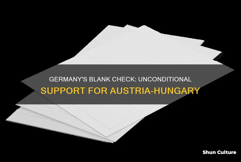 why was germanys reponse to austria-hungary called a blank check
