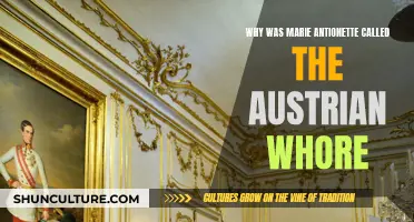 Marie Antoinette: The "Austrian Whore" Insult Explained