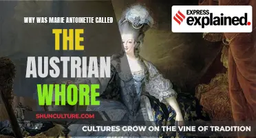 Marie Antoinette: The Austrian Whore's Tale