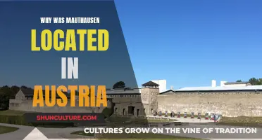Mauthausen's Dark History: Austria's Concentration Camp Legacy
