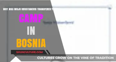 Mujo Hrustanovic's Transfer to Bosnia Camp: Uncovering the Reasons