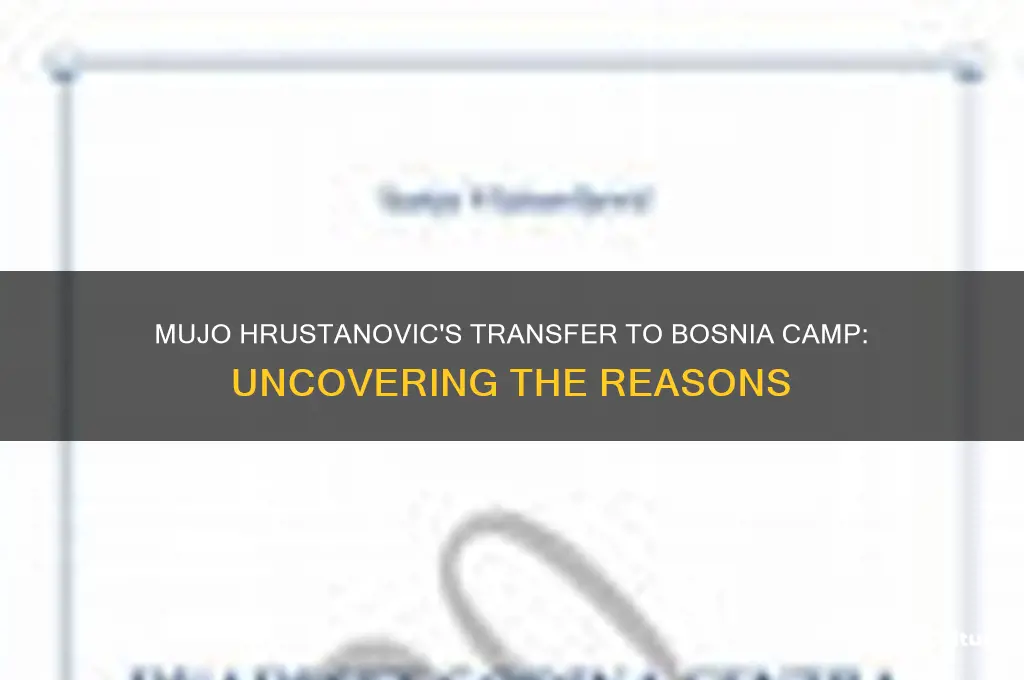 why was mujo hrustanovic transfered to the camp in bosnia