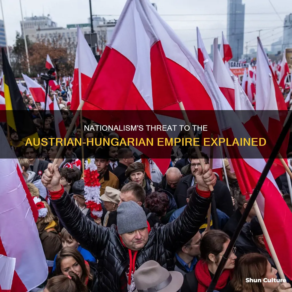 why was nationalism a problem for austria hungary