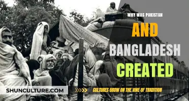 The Birth of Pakistan and Bangladesh: Historical Roots and Reasons