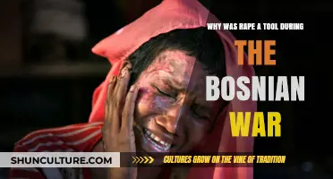 Rape as a Weapon: The Bosnian War's Dark Legacy