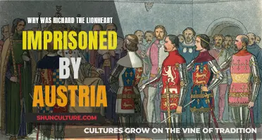 Lionheart's Imprisonment: Austria's Revenge on Richard I