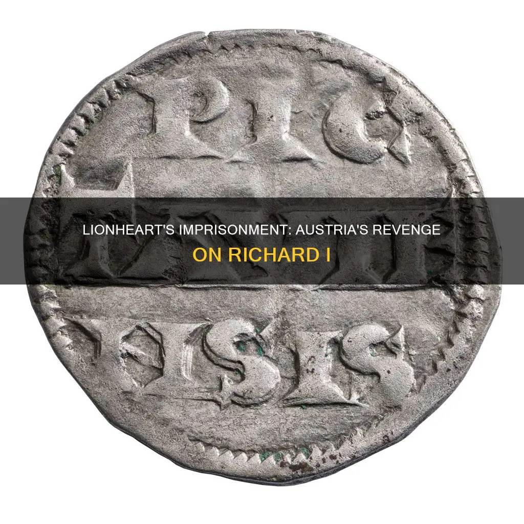 why was richard the lionheart imprisoned by austria