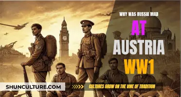 Russia's Ire: Austria's Actions and World War I
