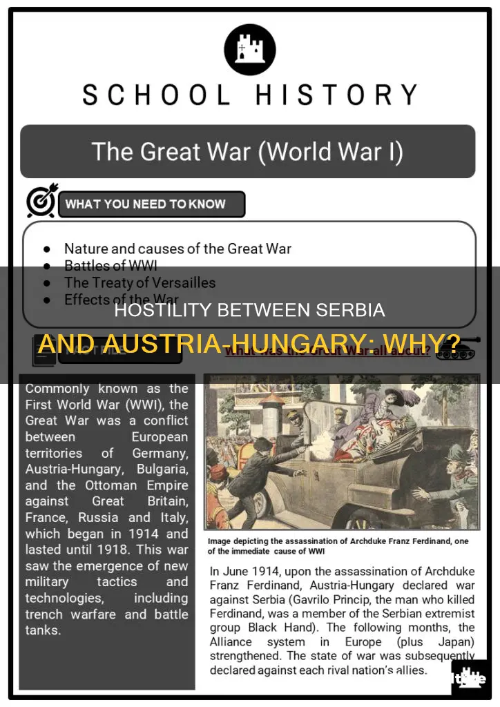 why was serbia and austria-hungary hostile towards each other