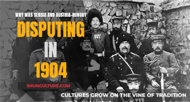 Serbia and Austria-Hungary: The Dispute of 1904 Explained