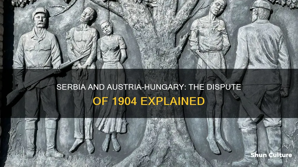 why was serbia and austria-hungry disputing in 1904