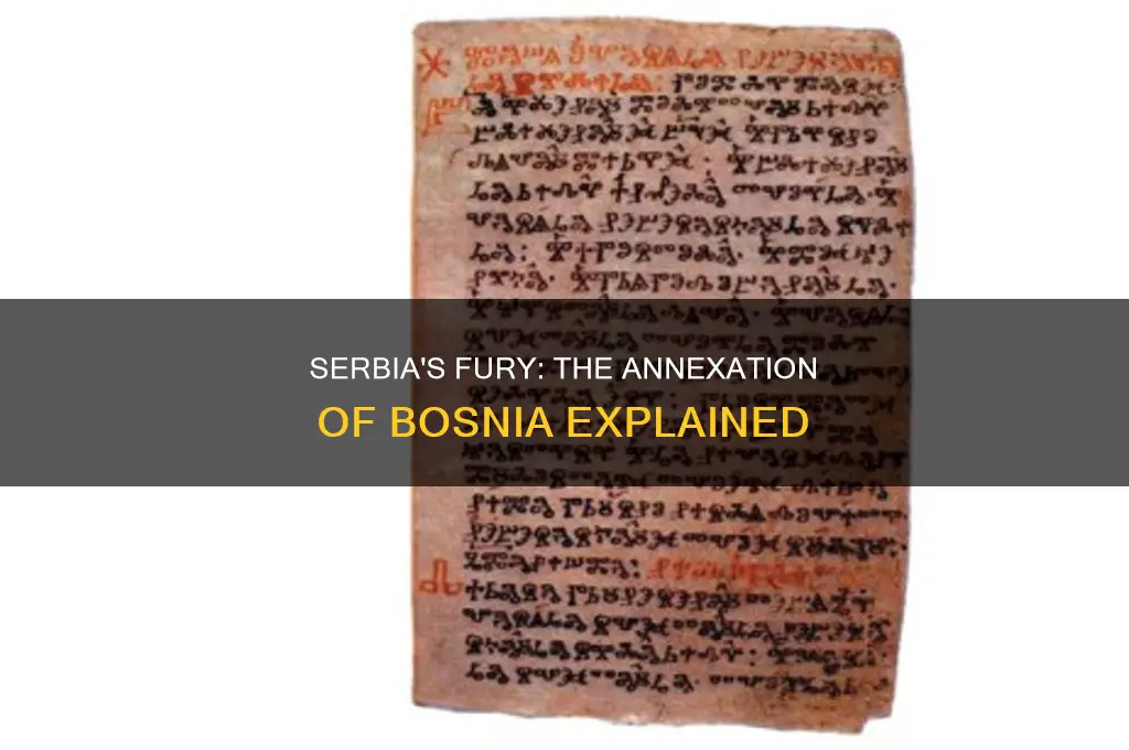 why was serbia angry about the annexation of bosnia