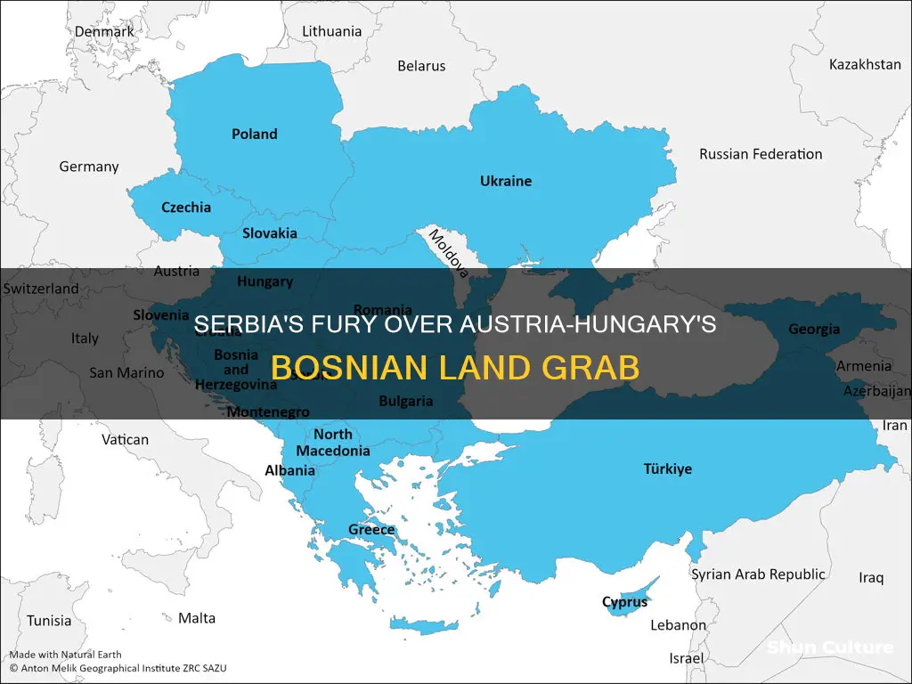 why was serbia annoyed about austria-hungary taking over bosnia