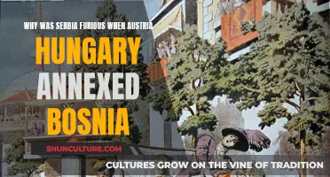 Serbia's Fury: Austria-Hungary's Annexation of Bosnia