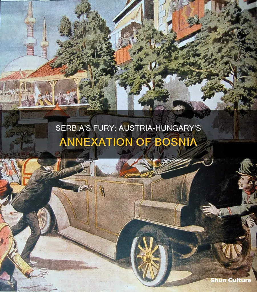 why was serbia furious when austria hungary annexed bosnia