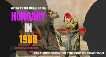 Serbia's Fury: Austria-Hungary's Annexation of Bosnia