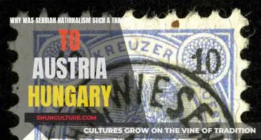 Serbian Nationalism: Austria-Hungary's Fear and Threat
